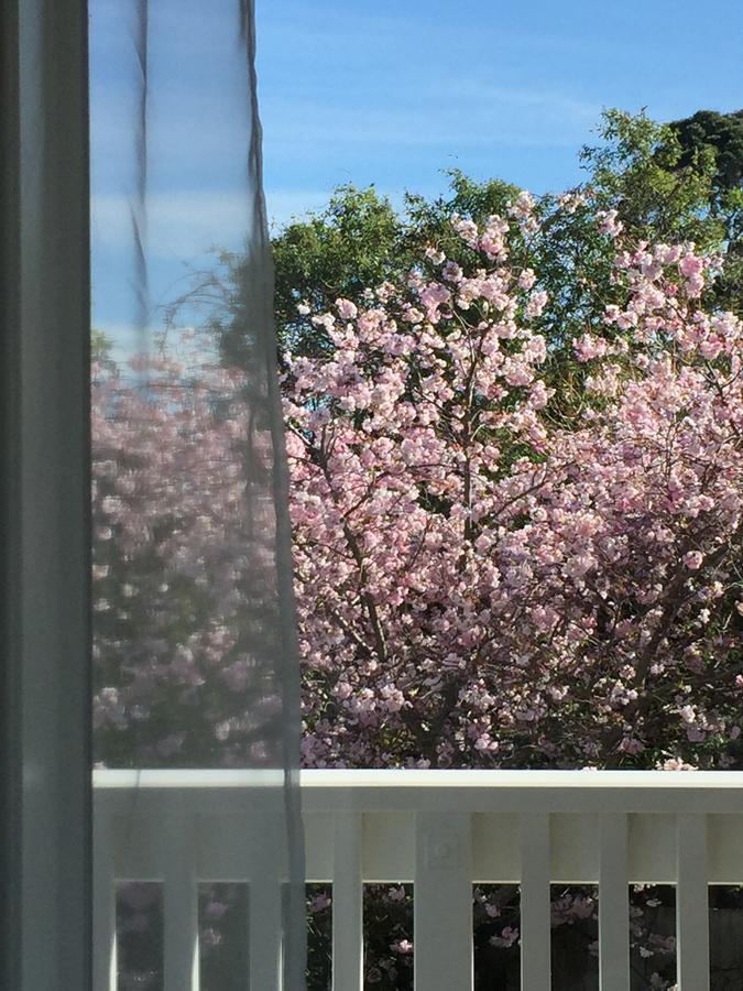 Cashmere Hills B&B Christchurch Kültér fotó